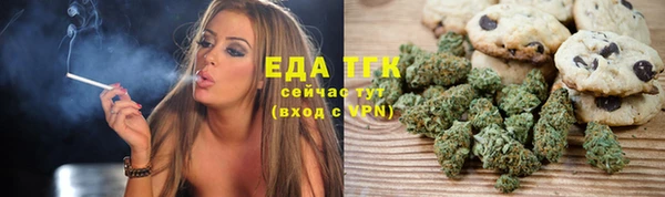 индика Володарск