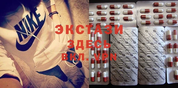 индика Володарск