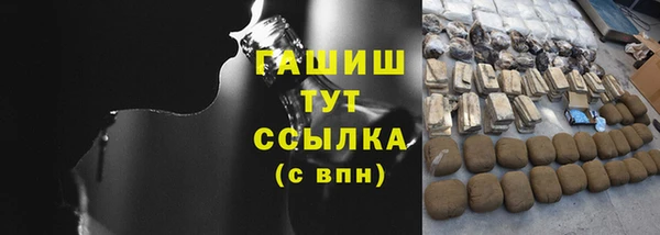 индика Володарск