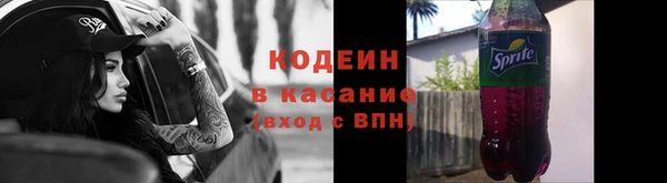 индика Володарск