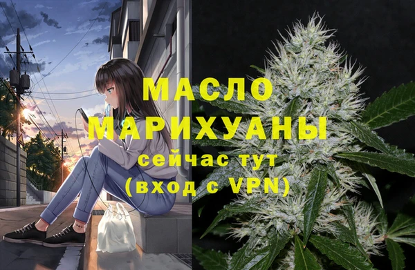 индика Володарск