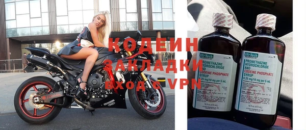 индика Володарск