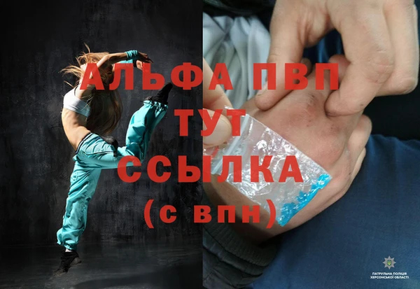 индика Володарск