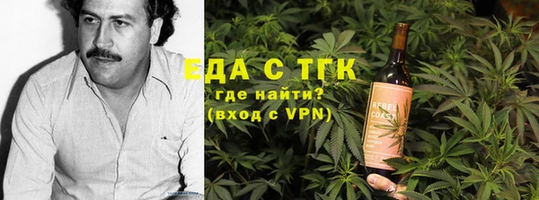 индика Володарск