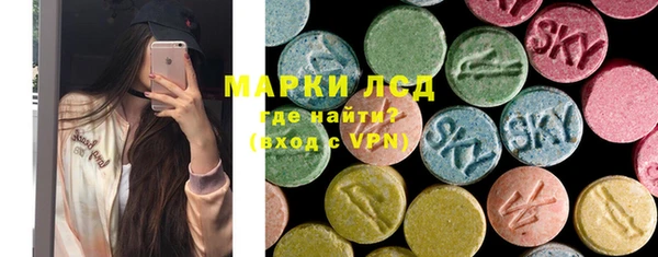 индика Володарск