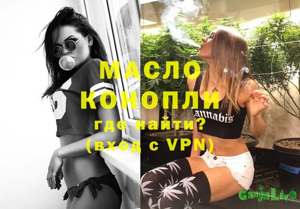 индика Володарск