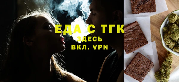индика Володарск