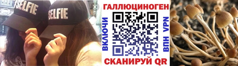 Псилоцибиновые грибы Psilocybine cubensis Купить Выборг